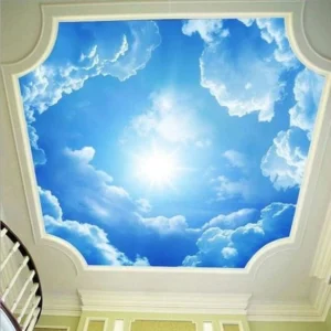 Trần mây phòng khách - Ms886